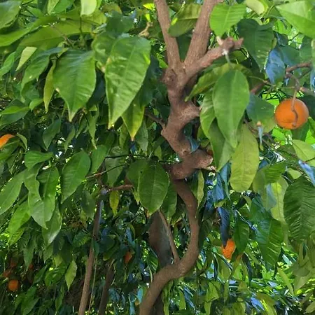 Luna I Lucky Apartman *