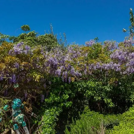 Apartman Luna I Lucky Dubrovnik