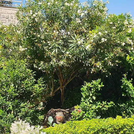 Apartman Luna I Lucky Dubrovnik