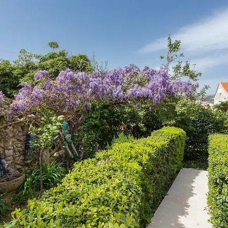 Luna I Lucky * Dubrovnik