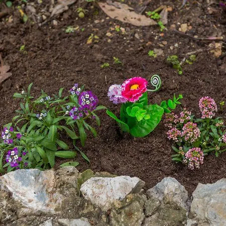 Luna I Lucky Appartamento