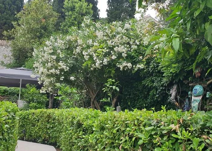 Luna I Lucky 杜布罗夫尼克