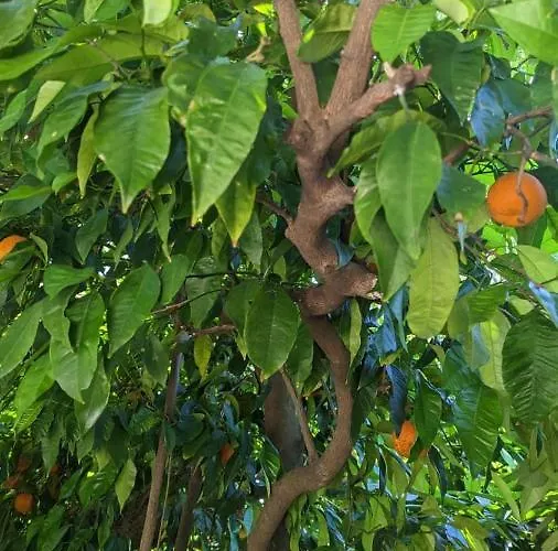 Luna I Lucky 公寓 *