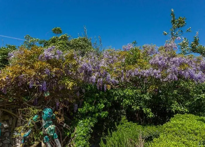 公寓 Luna I Lucky 杜布罗夫尼克