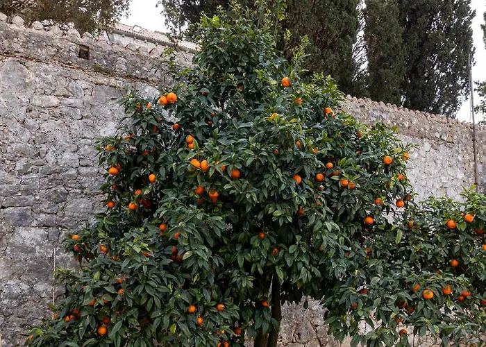 Luna I Lucky 杜布罗夫尼克