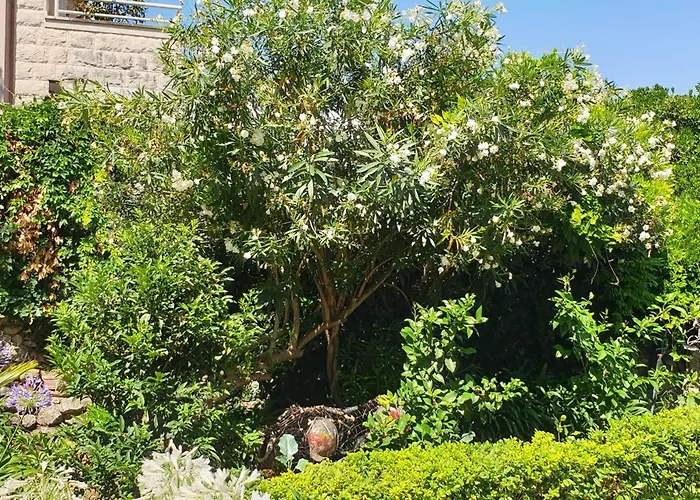 公寓 Luna I Lucky 杜布罗夫尼克