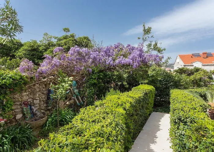 Luna I Lucky * 杜布罗夫尼克