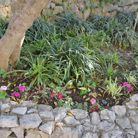 Luna I Lucky Dubrovnik