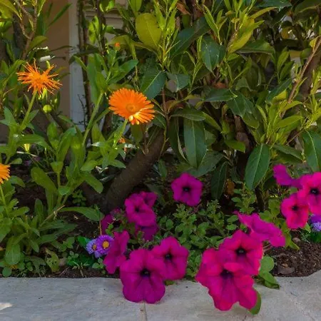 Luna I Lucky Appartement