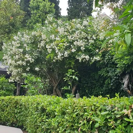 Luna I Lucky Dubrovnik